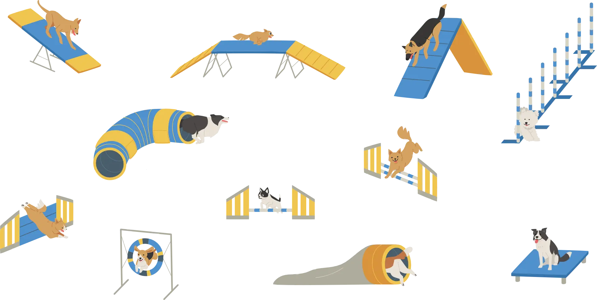 Agility - Espaço Ducão
